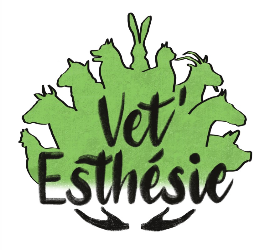 VET'ESTHéSIE